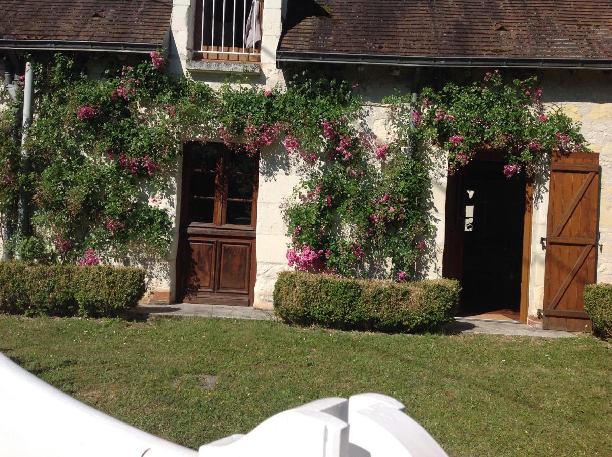 Gîte Ô Beauval Saint-Aignan  Extérieur photo