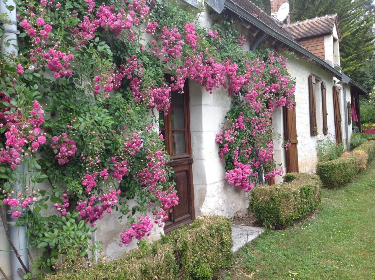Gîte Ô Beauval Saint-Aignan  Extérieur photo