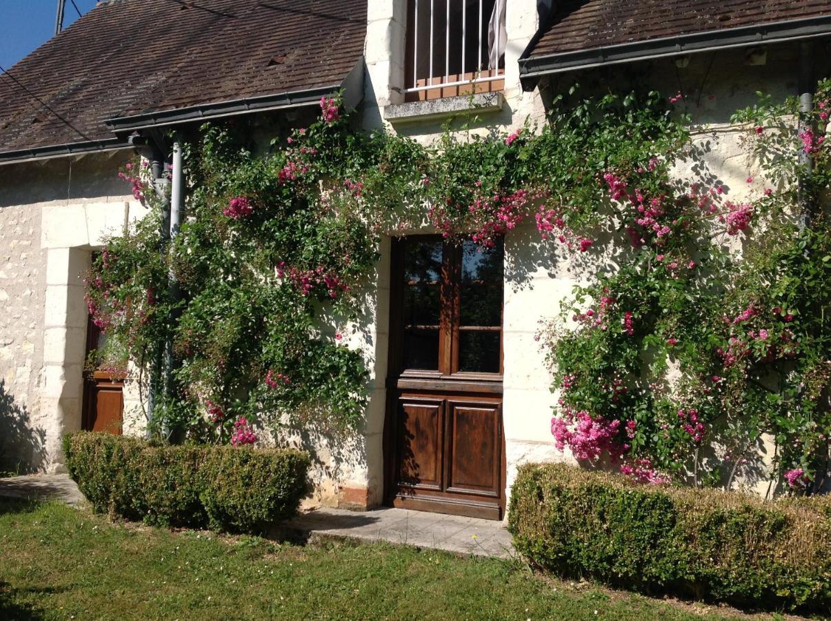 Gîte Ô Beauval Saint-Aignan  Extérieur photo