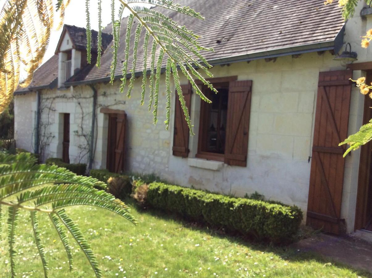 Gîte Ô Beauval Saint-Aignan  Extérieur photo