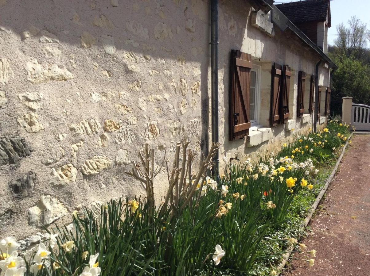 Gîte Ô Beauval Saint-Aignan  Extérieur photo