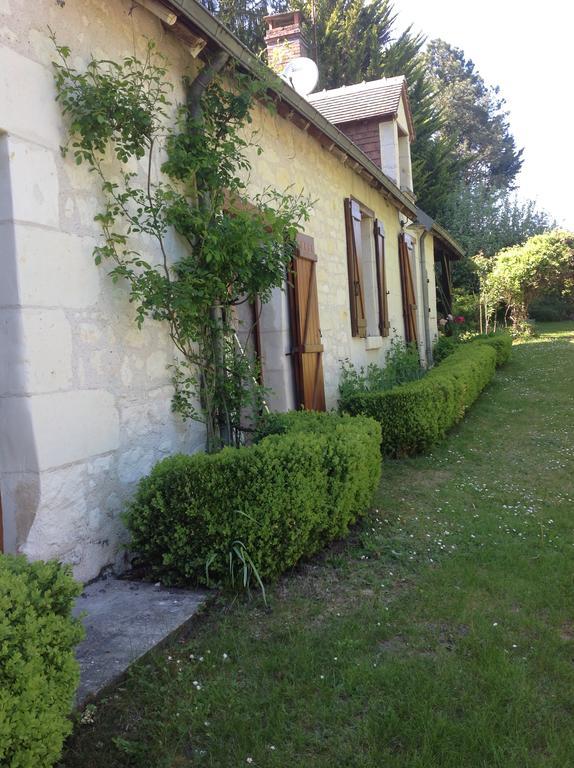 Gîte Ô Beauval Saint-Aignan  Extérieur photo